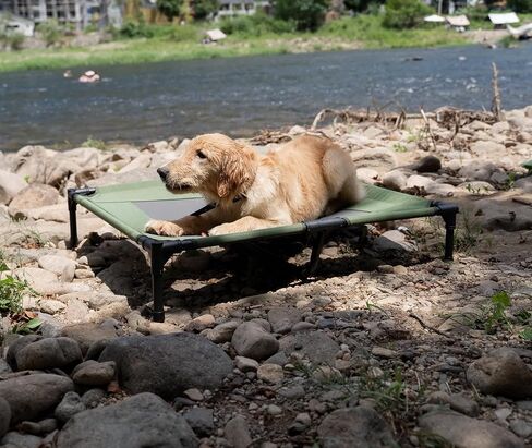 Small Elevated Dog Bed Outdoor Waterproof,Lifted Dog Cot Bed with Washable & Breathable Mesh,Raised Pet Hammock Bed with No-Slip Rubber Feet for Indoor & Outdoor Use,Pink,24 * 18 * 7 inches in Saudi Arabia