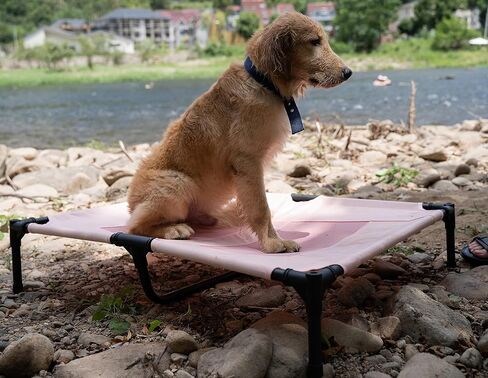 Small Elevated Dog Bed Outdoor Waterproof,Lifted Dog Cot Bed with Washable & Breathable Mesh,Raised Pet Hammock Bed with No-Slip Rubber Feet for Indoor & Outdoor Use,Pink,24 * 18 * 7 inches in Saudi Arabia