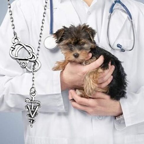 Vet Tech Veterinary Technician Caduceus Stethoscope Larait Y Necklace Veterinary Doctor Jewelry in Saudi Arabia