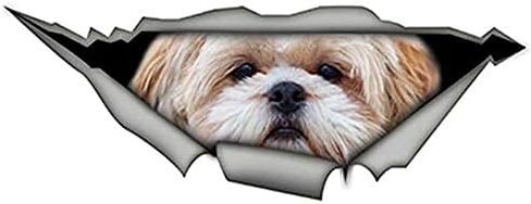 EARLFAMILY 5.1‘’ for Shih tzu 3D Car Sticker Funny Pet Dog Decal Creative Torn Metal Modified Stickers Waterproof Car Styling Decoration Waterproof in Saudi Arabia