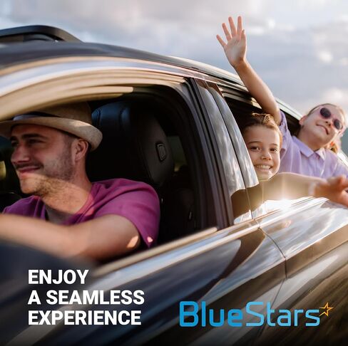 BlueStars 806713TA0D مقبض الباب الداخلي للسائق الأمامي/الخلفي الأيسر - لنيسان ألتيما باثفايندر مورانو تيتان - استبدال 806713TA0A 806713TA0B in Saudi Arabia
