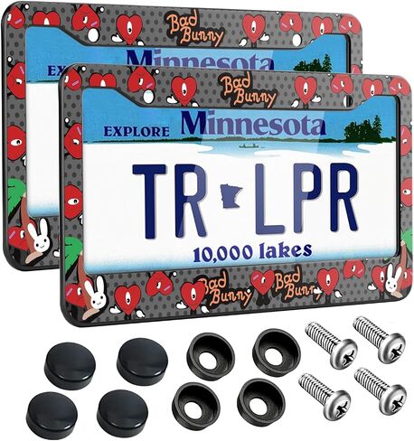 License Plate Frames for 2 PCS Cute Cartoon Metal Tag Frame Stainless Steel Car Front Rear Plate Decor,Quality Aluminum Composite Design Car Accessories with Holes and Screws,12.2x6.3inches in Saudi Arabia