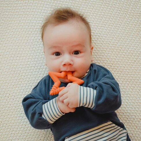 TalkTools Sensory Teeny Teether Star - Alternative to Thumb Sucking and Pacifiers, Enhances Oral Motor Awareness, Perfect for Children with Sensory Needs, Oral Development Aids (Sage) in Saudi Arabia