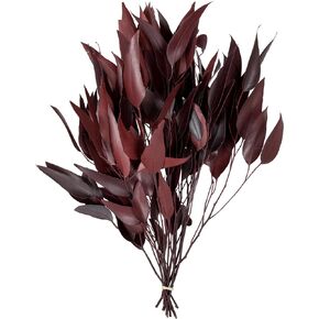 Vickerman 18" Red Weeping Willow Eucalyptus - 5-6 oz Per Pack - Red Preserved Foliage Floral Decor - Burgundy Fall Decor - Natural Botanicals - Weeping Willow