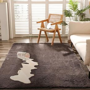 HAOWANER Ultra Fluffy & Waterproof Rugs for Indoor, 3x5 Area Rug, Black Rug for Bedroom,Black Area Rug for Living Room, 3x5 Rug for Kids Room, Area Rug for Bedroom Carpet, Plush Rug for Bedroom Rugs