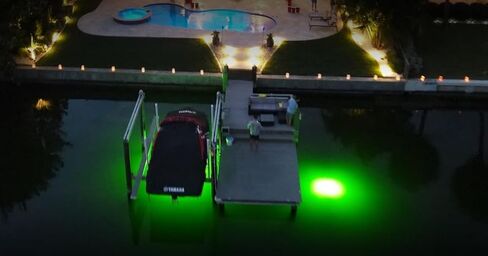 Saltwater Approved & Barnacle Burning Bulbs, Double Lamp Bright Green Underwater Fishing Light Kit, Dock & Fish Lights with 50' Cords (7,900 Lumens Each Bulb) in Saudi Arabia