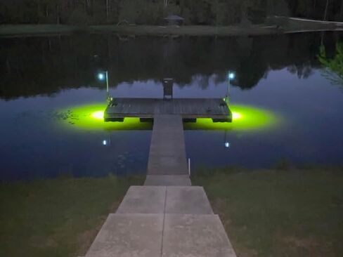 Saltwater Approved & Barnacle Burning Bulbs, Double Lamp Bright Green Underwater Fishing Light Kit, Dock & Fish Lights with 50' Cords (7,900 Lumens Each Bulb) in Saudi Arabia