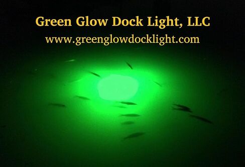 Saltwater Approved & Barnacle Burning Bulbs, Double Lamp Bright Green Underwater Fishing Light Kit, Dock & Fish Lights with 50' Cords (7,900 Lumens Each Bulb) in Saudi Arabia