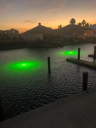 Saltwater Approved & Barnacle Burning Bulbs, Double Lamp Bright Green Underwater Fishing Light Kit, Dock & Fish Lights with 50' Cords (7,900 Lumens Each Bulb) in Saudi Arabia