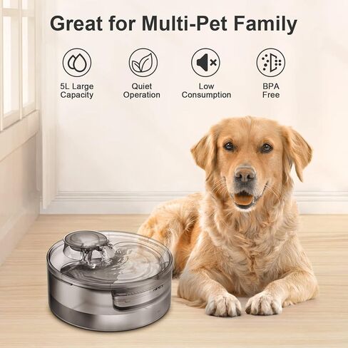 نافورة مياه للكلاب من NPET DF10، موزع مياه أوتوماتيكي كبير سعة 170 أونصة/1.3 جالون/5 لتر مع مجموعة تنظيف، وفلتر بديل للقطط والكلاب والحيوانات الأليفة المتعددة (المحول غير متضمن) in Kuwait