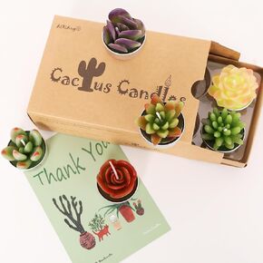 AIXIANG 6 Styles Cactus Tealights Candle Delicate Succulent Tealight Candles for Home Decor New Year Presents, Housewarming Gifts, Housewarming Favors for Guests, Christmas Decorations (6 Pcs)