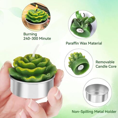 AIXIANG 6 Styles Cactus Tealights Candle Delicate Succulent Tealight Candles for Home Decor New Year Presents, Housewarming Gifts, Housewarming Favors for Guests, Christmas Decorations (6 Pcs) in Saudi Arabia