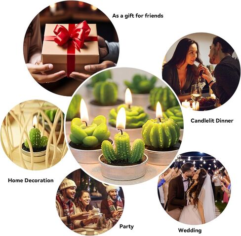 AIXIANG 6 Styles Cactus Tealights Candle Delicate Succulent Tealight Candles for Home Decor New Year Presents, Housewarming Gifts, Housewarming Favors for Guests, Christmas Decorations (6 Pcs) in Saudi Arabia
