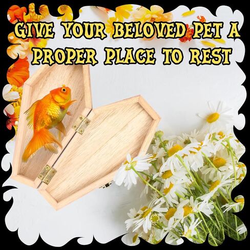 Kigley 20 Pack 6 x 3 x 1.57 Inch Halloween Coffin Box Coffin Ring Box Unfinished Wood Box Coffin Decor with Hinged Lids for Halloween Parties Goth Decoration Small Pet Burials DIY Crafts in Saudi Arabia