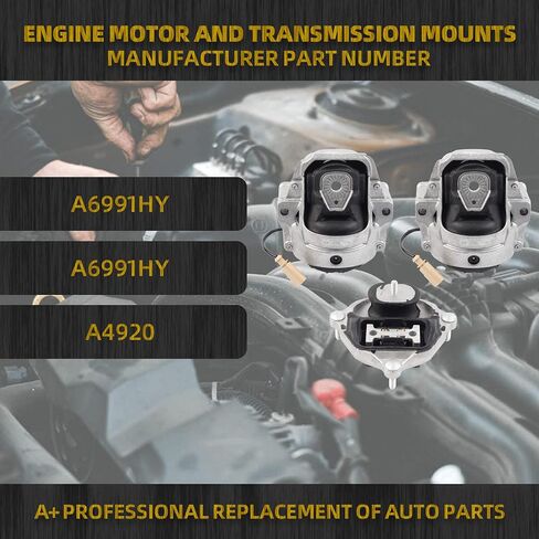 Dasbecan Engine Motor Trans Mount Set 3PCS Compatible with Audi A4 A5 A4 Quattro A5 Quattro 2008-2017 Replaces# 8K0199381C 8K0199381JN 8K0199381JP 8K0199381KN 8K0199381KP in Saudi Arabia