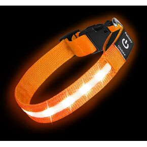 PetIsay Light up Dog Collar - High Visibility & Durable Nylon Material - USB C Rechargeable & Waterproof LED Dog Collar for Night Walking,Lighted Dog Collars Glow in The Dark Flashing(Green,Medium)