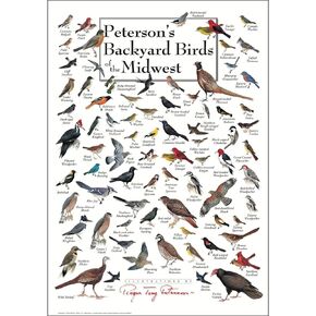 Earth Sky + Water - Peterson’s Backyard Birds of the Midwest - Double-matted Posters with Black Frame