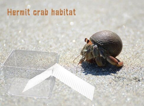 عبوة من قطعتين من خزان مياه السلطعون الناسك الشفاف مع سلالم التسلق، ومستلزمات حمام السلطعون الناسك، وإكسسوارات قفص خزان حوض السمك لخزان موئل السلطعون الصغير أو المتوسط in Kuwait