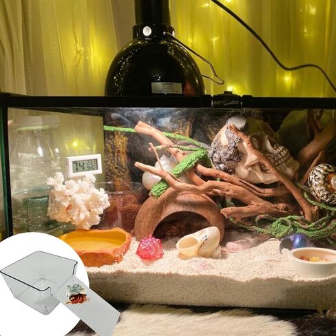 عبوة من قطعتين من خزان مياه السلطعون الناسك الشفاف مع سلالم التسلق، ومستلزمات حمام السلطعون الناسك، وإكسسوارات قفص خزان حوض السمك لخزان موئل السلطعون الصغير أو المتوسط in Kuwait