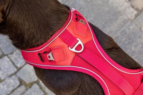 Curli Belka Harness Custom-Fit Big Dog Harness Dog Harness Adjustable Choke-Free Reflective Vest for Large Dogs Black L in Saudi Arabia