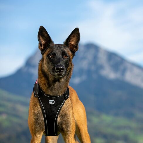 Curli Belka Harness Custom-Fit Big Dog Harness Dog Harness Adjustable Choke-Free Reflective Vest for Large Dogs Black L in Saudi Arabia