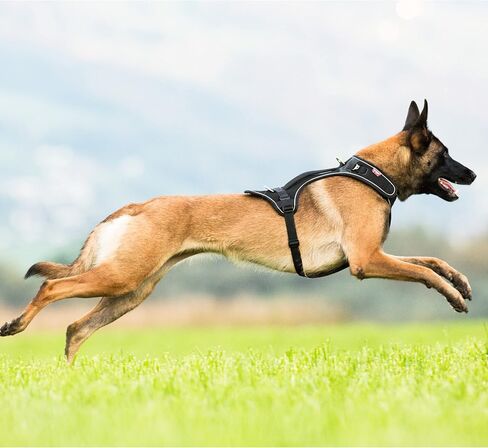 Curli Belka Harness Custom-Fit Big Dog Harness Dog Harness Adjustable Choke-Free Reflective Vest for Large Dogs Black L in Saudi Arabia