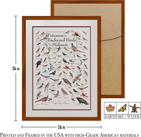 Earth Sky + Water - Peterson’s Backyard Birds of the Midwest - Double-matted Posters with Black Frame in Saudi Arabia