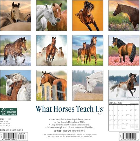 Willow Creek Press What Horses Teach Us Monthly 2024 Wall Calendar (12" x 12") in Saudi Arabia