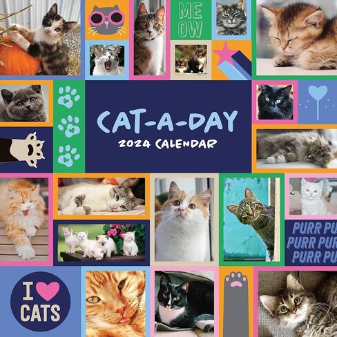 TF PUBLISHING 2024 Cat-A-Day Wall Calendar | Large Grids for Appointments and Scheduling | Vertical Monthly Wall Calendar 2024 | Home and Office Organization | Premium Gloss Paper | 12"x12" in Saudi Arabia