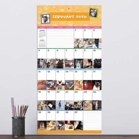 TF PUBLISHING 2024 Cat-A-Day Wall Calendar | Large Grids for Appointments and Scheduling | Vertical Monthly Wall Calendar 2024 | Home and Office Organization | Premium Gloss Paper | 12"x12" in Saudi Arabia