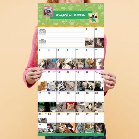 TF PUBLISHING 2024 Cat-A-Day Wall Calendar | Large Grids for Appointments and Scheduling | Vertical Monthly Wall Calendar 2024 | Home and Office Organization | Premium Gloss Paper | 12"x12" in Saudi Arabia