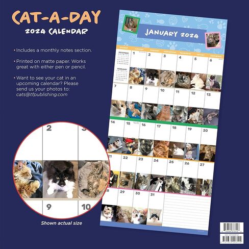TF PUBLISHING 2024 Cat-A-Day Wall Calendar | Large Grids for Appointments and Scheduling | Vertical Monthly Wall Calendar 2024 | Home and Office Organization | Premium Gloss Paper | 12"x12" in Saudi Arabia