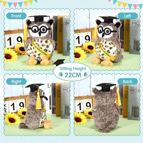 Aoriher Graduation Plush Stuffed Animal 2024 Owl Cute Stuffed Owl Plush Toy Dress up with Tassel Graduation Hat Congratulatory Graduation Gift Decoration for School Graduate 8.7 Inches in Saudi Arabia