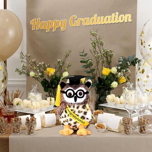 Aoriher Graduation Plush Stuffed Animal 2024 Owl Cute Stuffed Owl Plush Toy Dress up with Tassel Graduation Hat Congratulatory Graduation Gift Decoration for School Graduate 8.7 Inches in Saudi Arabia