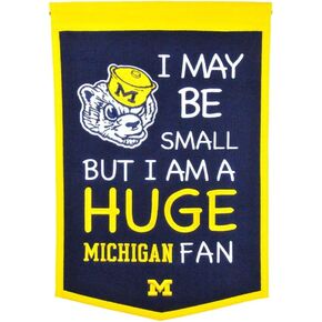 Winning Streak NCAA Unisex Michigan Wolverines