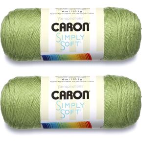 Bulk Buy: Caron Simply Soft Yarn Solids (2-pack) (Pistachio)