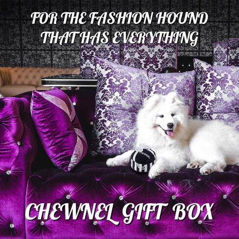 Dog Diggin Designs Priceless Capsule Gift Collection | Unique Squeaky Parody Plush Dog Toys – Thinking Outside The Box in Kuwait