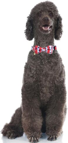 American Flag Dog Collar with Removable Cute Bow Tie Adjustable Patriotic 4th of July Pet Collars Independence Day Small in Saudi Arabia