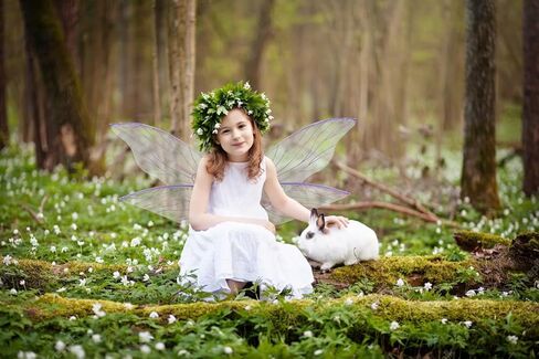 زي الجنية الجناح للنساء الفتيات، زي الأميرة الملاك القزم الشفاف لفستان إكسسوارات عيد الميلاد التنكرية، جناح الفراشة الوردي المتلألئ للفتيات البالغات in Kuwait