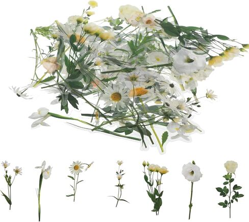 40 Pcs Plants Floral Stickers Transparent Flower Stickers for Scrapbooking Purple Pressed Flower Stickers Clear Nature Flowers Stickers Wildflower Stickers for Kids Adults Journaling DIY Crafts Cards in Saudi Arabia