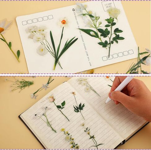 40 Pcs Plants Floral Stickers Transparent Flower Stickers for Scrapbooking Purple Pressed Flower Stickers Clear Nature Flowers Stickers Wildflower Stickers for Kids Adults Journaling DIY Crafts Cards in Saudi Arabia