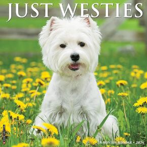 Willow Creek Press Westies Monthly 2024 Wall Calendar (12" x 12") in Saudi Arabia