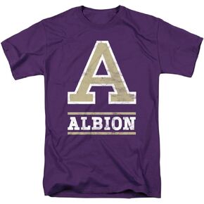 LOGOVISION Official Collegiate Distressed Primary Logo Adult T-Shirt Collection