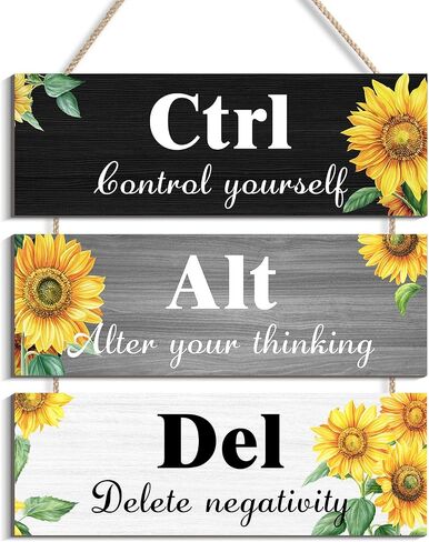 Ctrl Alt Del Wall Decor, Control Yourself Alter Your Thinking Delete Negativity Office Decor Motivational Wall Plaques with Sayings Wooden Wall Hangings for Home Office (grey 2, 4.7 x 13.7 inch) in Saudi Arabia