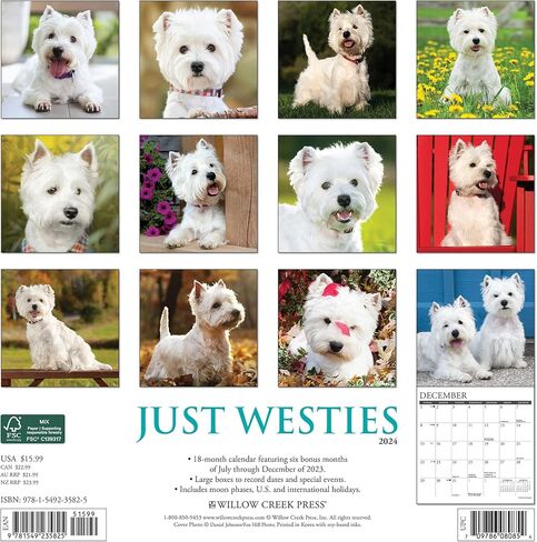 Willow Creek Press Westies Monthly 2024 Wall Calendar (12" x 12") in Saudi Arabia