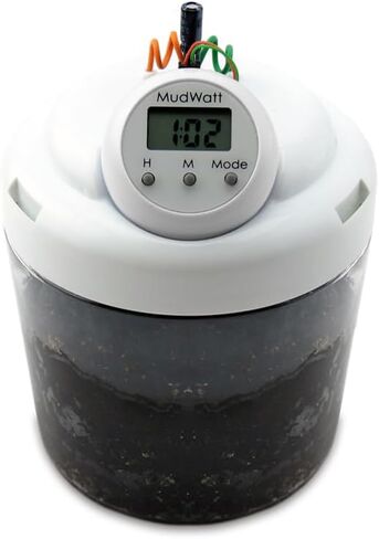 MudWatt: Grow a Living Fuel Cell in Saudi Arabia