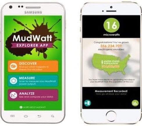 MudWatt: Grow a Living Fuel Cell in Saudi Arabia