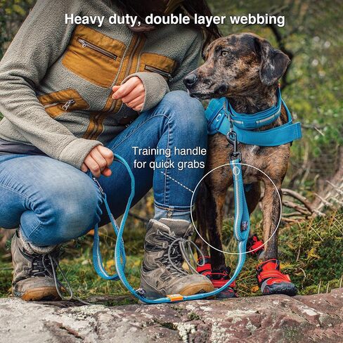 Kurgo Rsg Stub Leash for Dogs | Adjustable Dog Leash | Hands Free Dog Leash for Walking, Jogging, Or Running | Customizable Molle-Compatible Pet Lead | Training Handle | Web Keeper | Reflective | 48" in Saudi Arabia