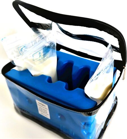 Ice Pack and Safety Case Set for Breastmilk Bags - carigro Brand - Insert for Breastmilk Cooler Bag (3 Items) in Saudi Arabia