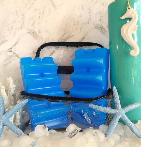 Ice Pack and Safety Case Set for Breastmilk Bags - carigro Brand - Insert for Breastmilk Cooler Bag (3 Items) in Saudi Arabia